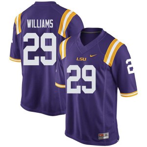 Men Louisiana State Tigers #29 Greedy Williams Purple Player Jerseys 533163-361