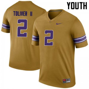 Youth Louisiana State Tigers #2 Kevin Toliver II Gold Legend Alumni Jerseys 420635-210