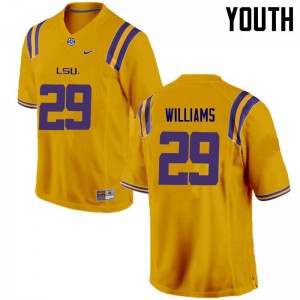 Youth LSU #29 Andraez Williams Gold Embroidery Jerseys 255623-488