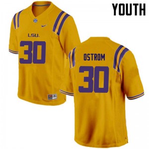 Youth Louisiana State Tigers #30 Michael Ostrom Gold University Jerseys 822790-291