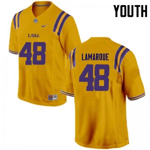 Youth LSU Tigers #48 Ronnie Lamarque Gold Football Jerseys 611358-183