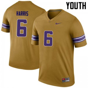 Youth LSU Tigers #6 Brandon Harris Gold Legend Embroidery Jerseys 342334-894